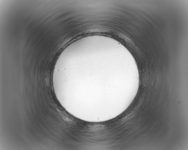 X0000063520833200602172212