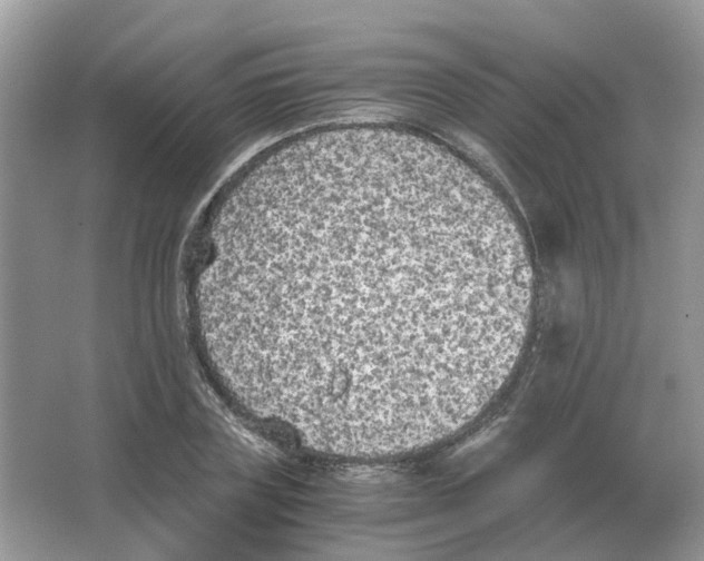 X0000063520835200602172212