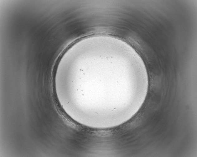 X0000063520836200602172212