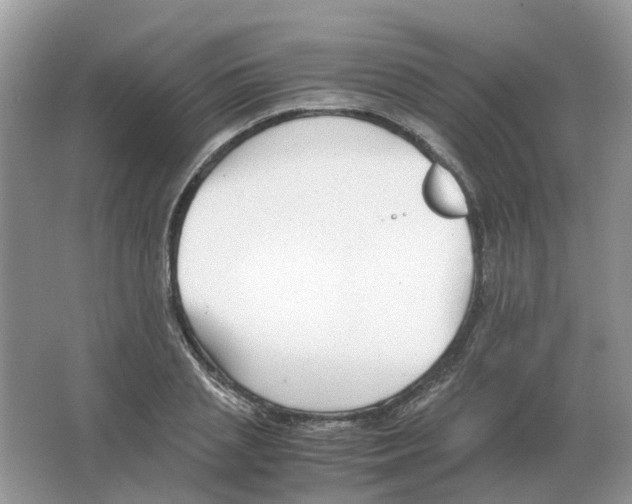 X0000063520837200602172212