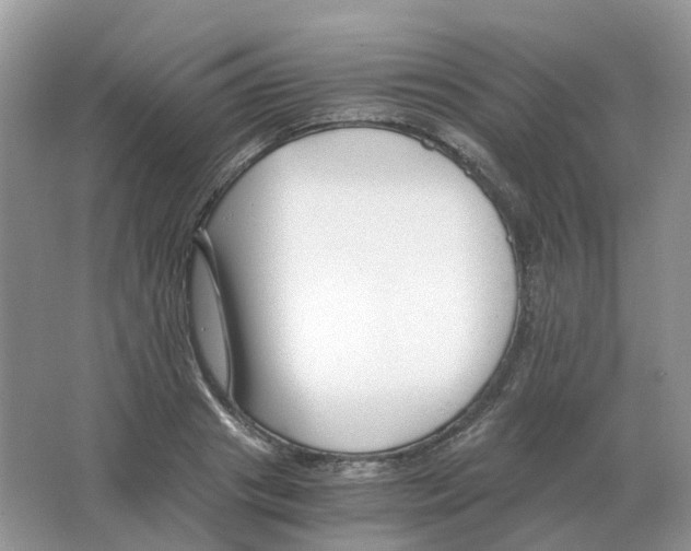 X0000063520841200602172212