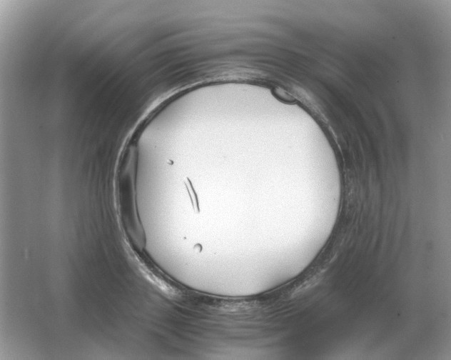 X0000063520843200602172212