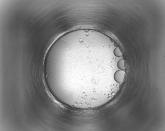 X0000063520844200602172212