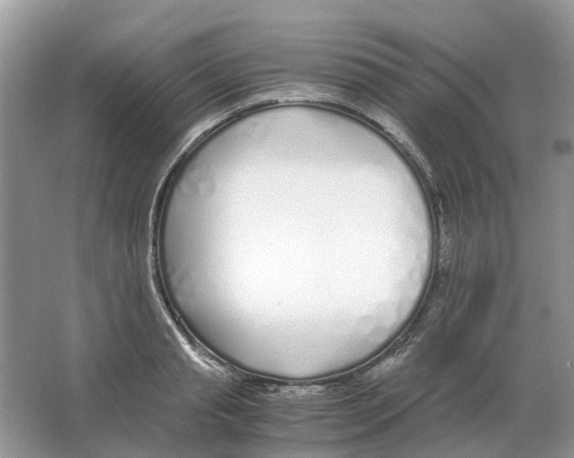 X0000063520845200602172212