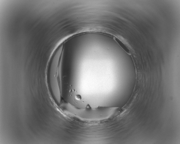 X0000063520846200602172212