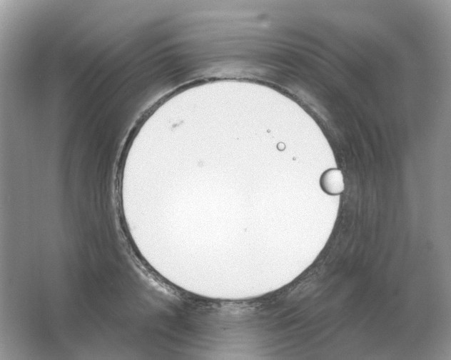 X0000063520848200602172212