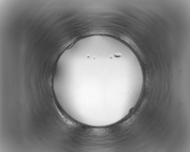 X0000063520849200602172212