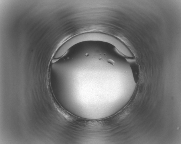 X0000063520850200602172212