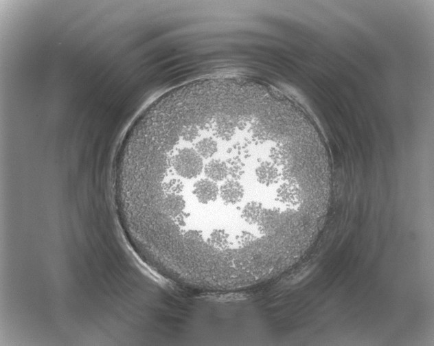 X0000063520851200602172212