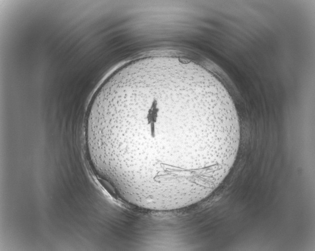 X0000063520852200602172212