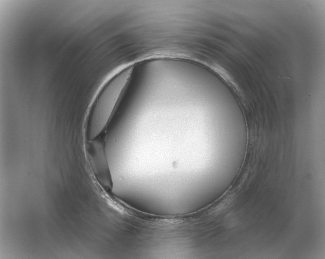 X0000063520854200602172212