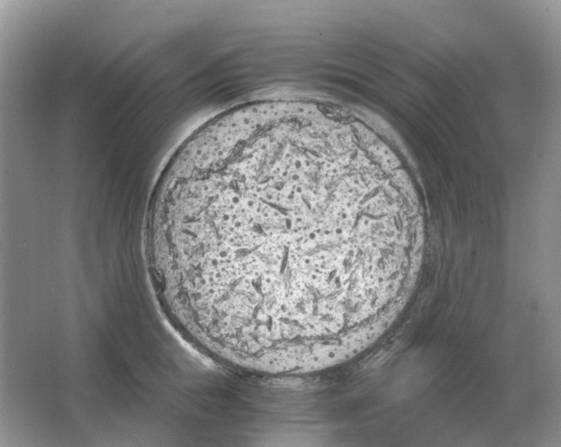 X0000063520855200602172212