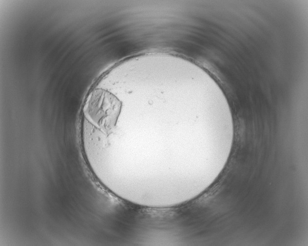 X0000063520856200602172212