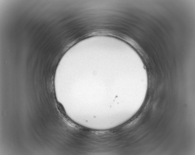 X0000063520857200602172212