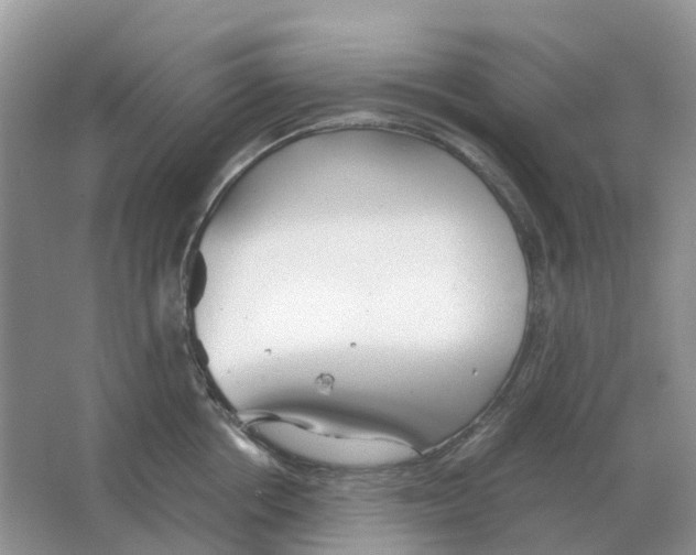 X0000063520858200602172212