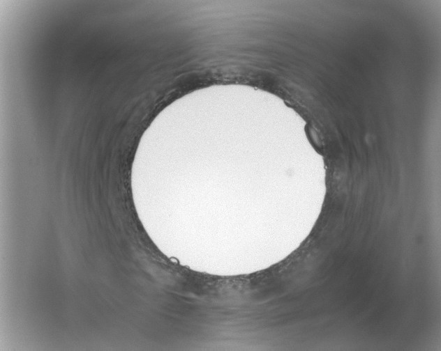 X0000063520865200602172211