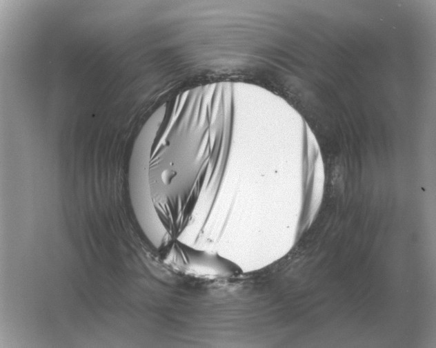 X0000063520868200602172211