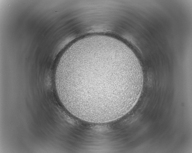 X0000063520874200602172211