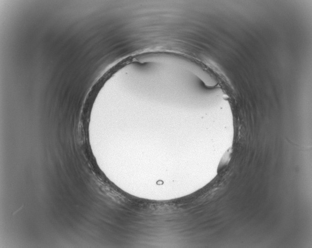 X0000063520876200602172211