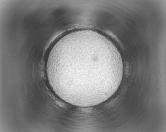 X0000063520878200602172211