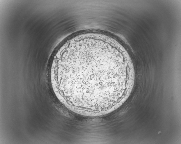 X0000063520879200602172211