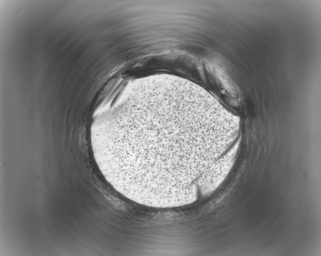 X0000063520881200602172211