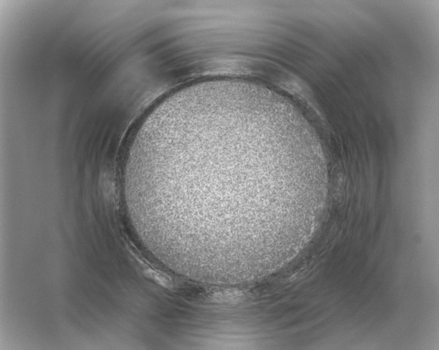 X0000063520882200602172211