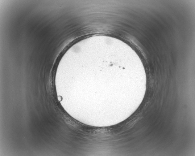 X0000063520883200602172211