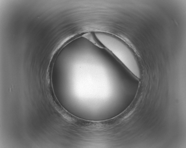 X0000063520885200602172211