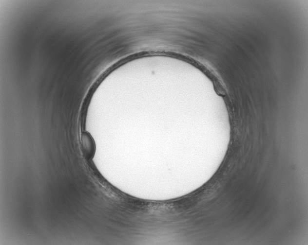 X0000063520887200602172211