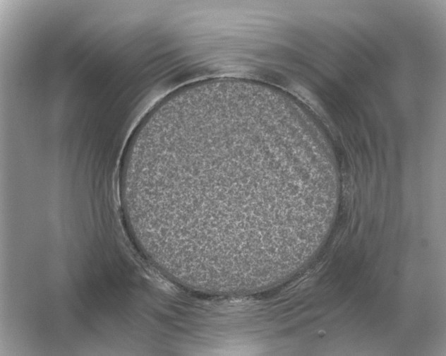 X0000063520891200602172211