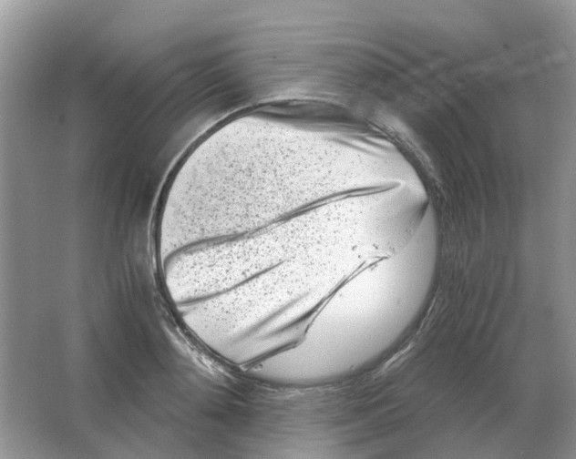 X0000063520892200602172211