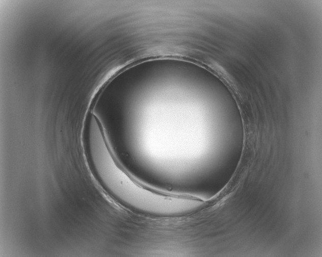 X0000063520893200602172211