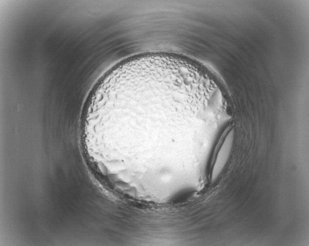 X0000063520895200602172211