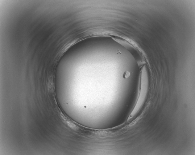 X0000063520897200602172211