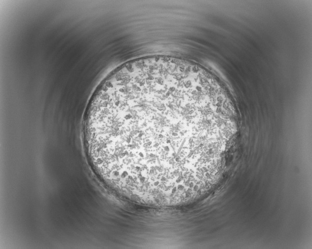 X0000063520899200602172211