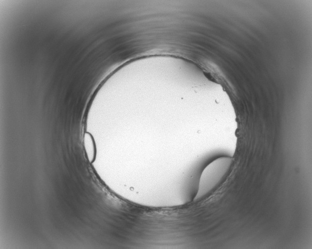 X0000063520900200602172211