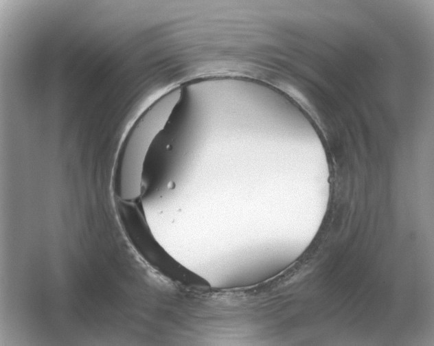 X0000063520901200602172211