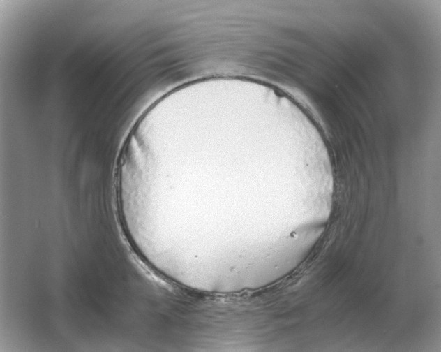 X0000063520903200602172211