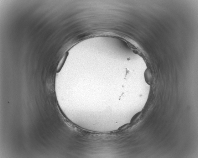 X0000063520905200602172211