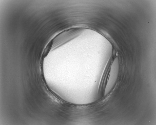 X0000063520908200602172211