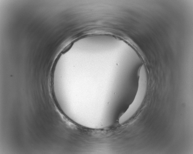 X0000063520909200602172211