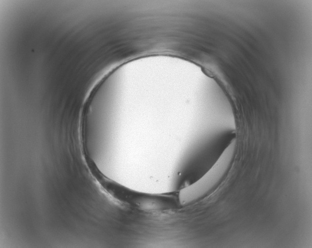 X0000063520910200602172211