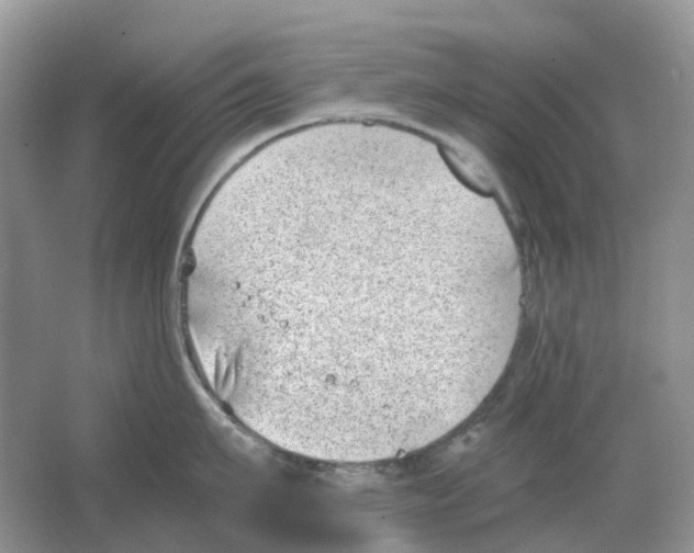 X0000063520911200602172211