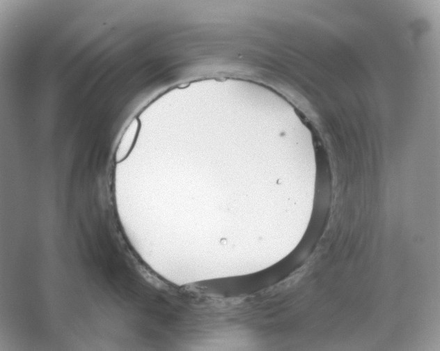 X0000063520912200602172211