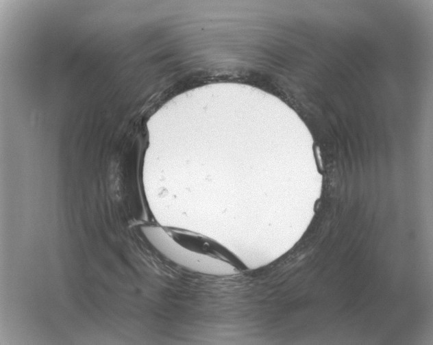 X0000063520916200602172210