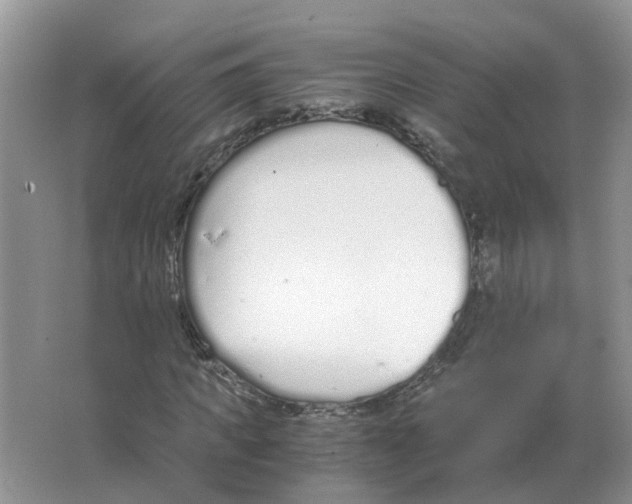 X0000063520917200602172210