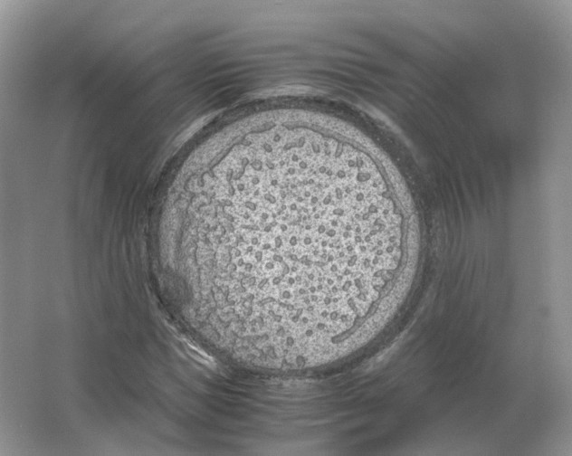 X0000063520921200602172210