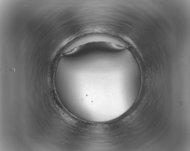 X0000063520922200602172210