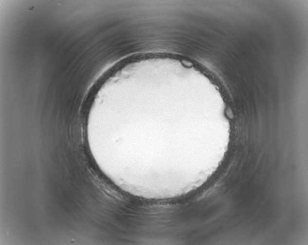 X0000063520925200602172210